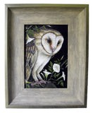 Moonlight Hunter Barn Owl (5x7)