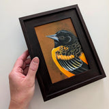 Oriole 5x7