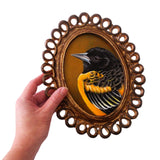 Oriole