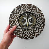 Barred Owl