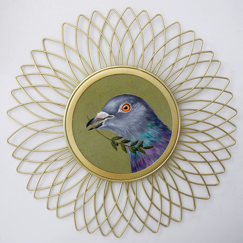 Peace Pigeon 1