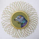Peace Pigeon 1