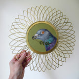 Peace Pigeon 1