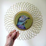 Peace Pigeon 2