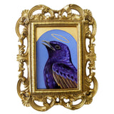 Purple Martin Saint