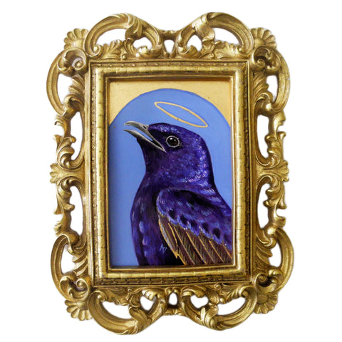 Purple Martin Saint