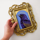 Purple Martin Saint