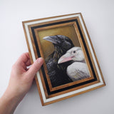 Black & White Ravens