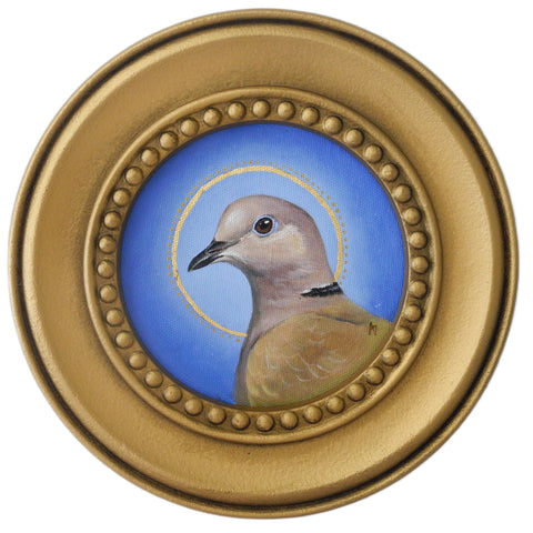 Circle Saint Collared Dove