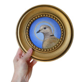 Circle Saint Collared Dove