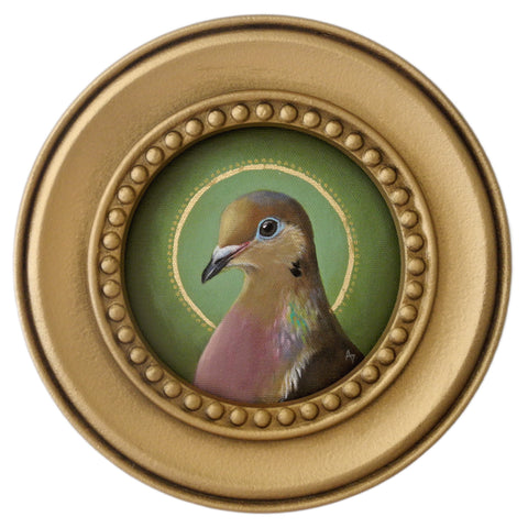 Circle Saint Mourning Dove