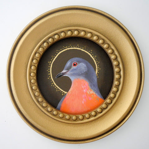 Circle Saint Passenger Pigeon