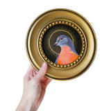 Circle Saint Passenger Pigeon