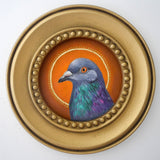 Circle Saint Pigeon