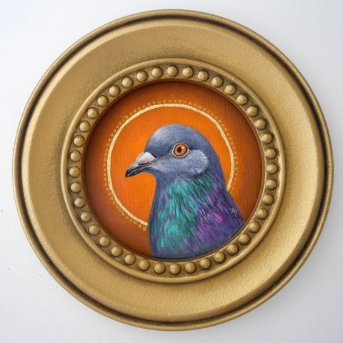 Circle Saint Pigeon