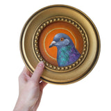 Circle Saint Pigeon