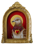 Sacred Heart Pigeon 1