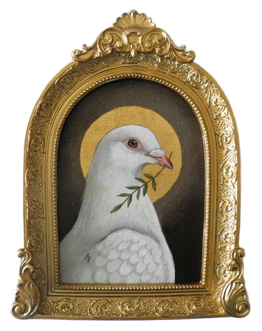 White Pigeon of Peace