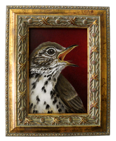 Speckled Thrush 5x7