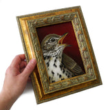 Speckled Thrush 5x7