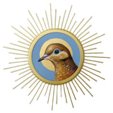 Sunburst Dove