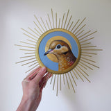 Sunburst Dove