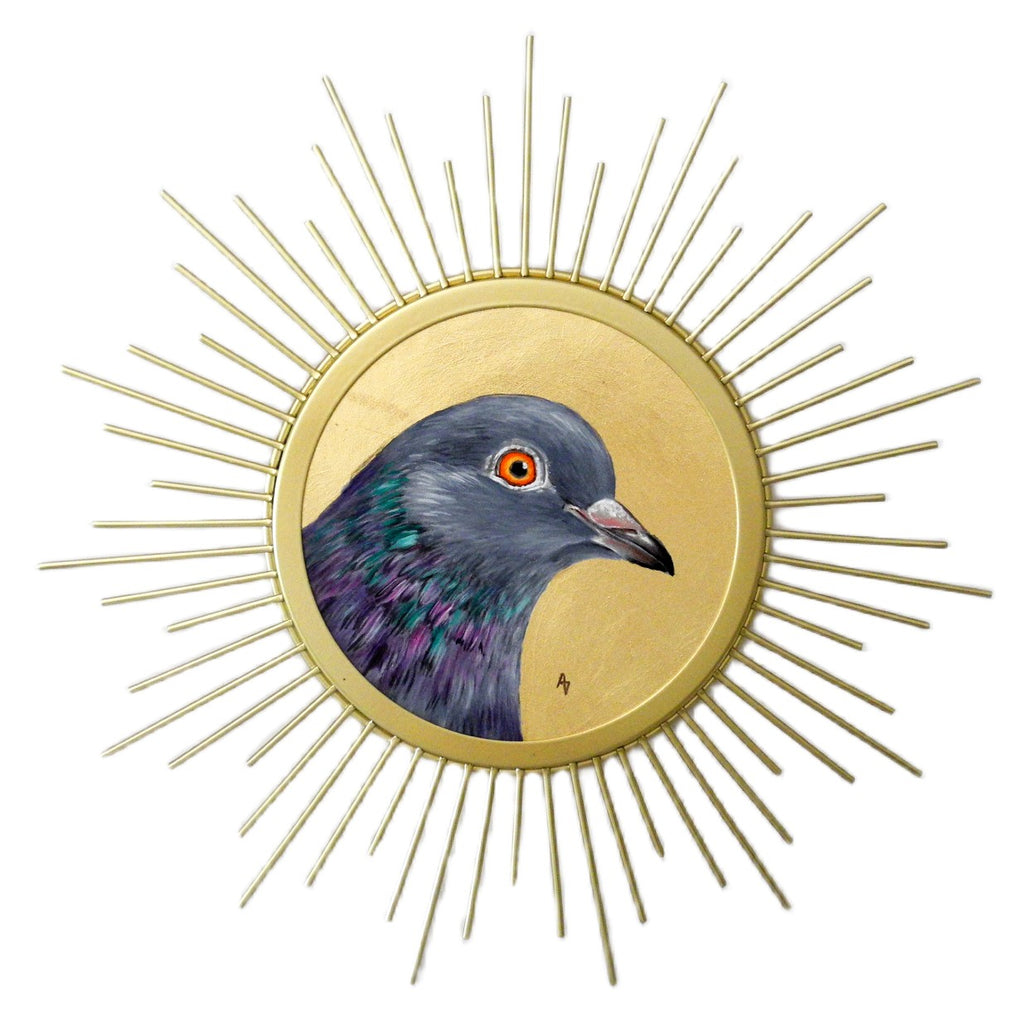 Sunburst Pigeon