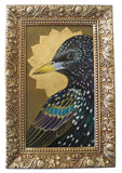 Starburst Starling