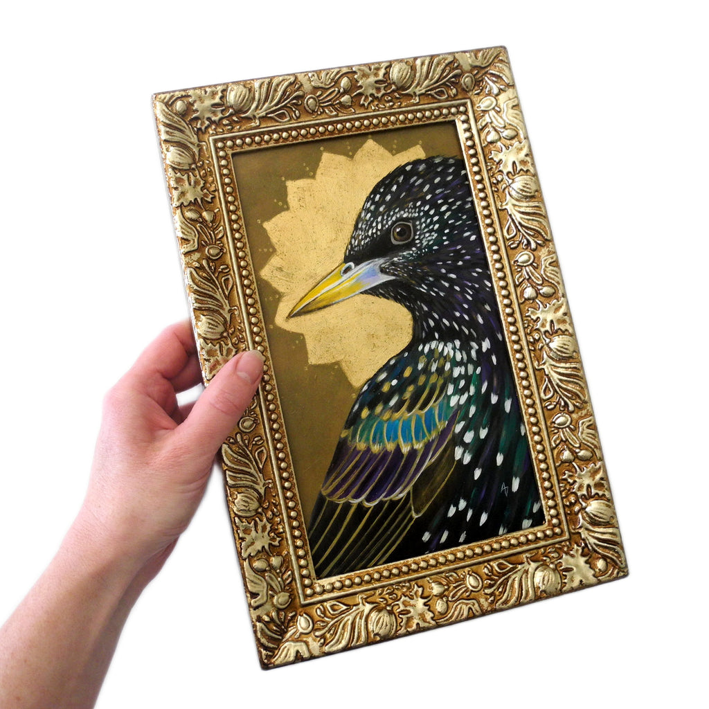 Starburst Starling