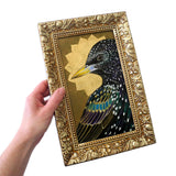 Starburst Starling