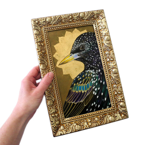 Starburst Starling