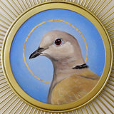Sunburst Saint Collared Dove