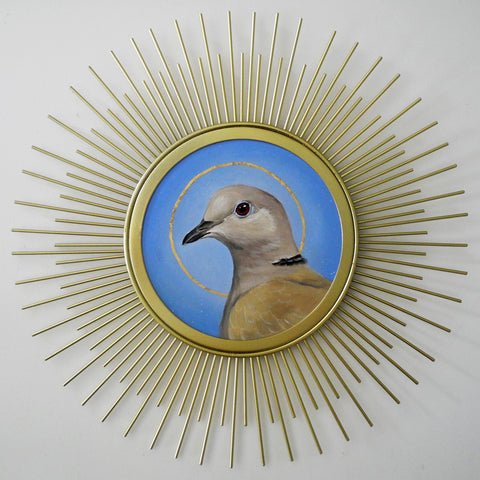 Sunburst Saint Collared Dove