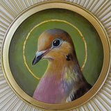 Sunburst Saint Mourning Dove