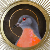 Sunburst Saint Passenger Pigeon