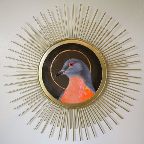 Sunburst Saint Passenger Pigeon