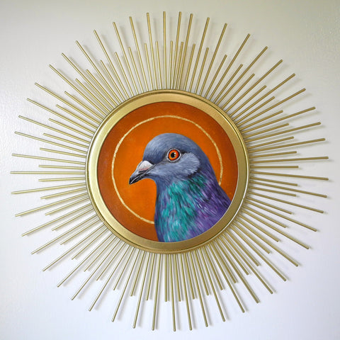 Sunburst Saint Pigeon