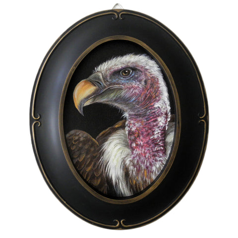 Vulture Cameo 5x7