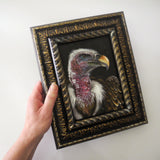 Vulture