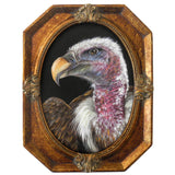 Vulture 5x7