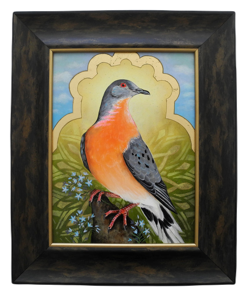 passenger pigeon extinct bird painting